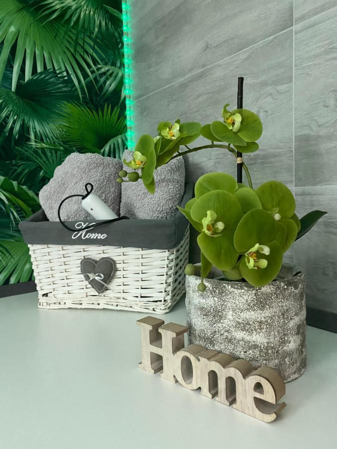 Ferienwohnung Erfurter Rose Экстерьер фото